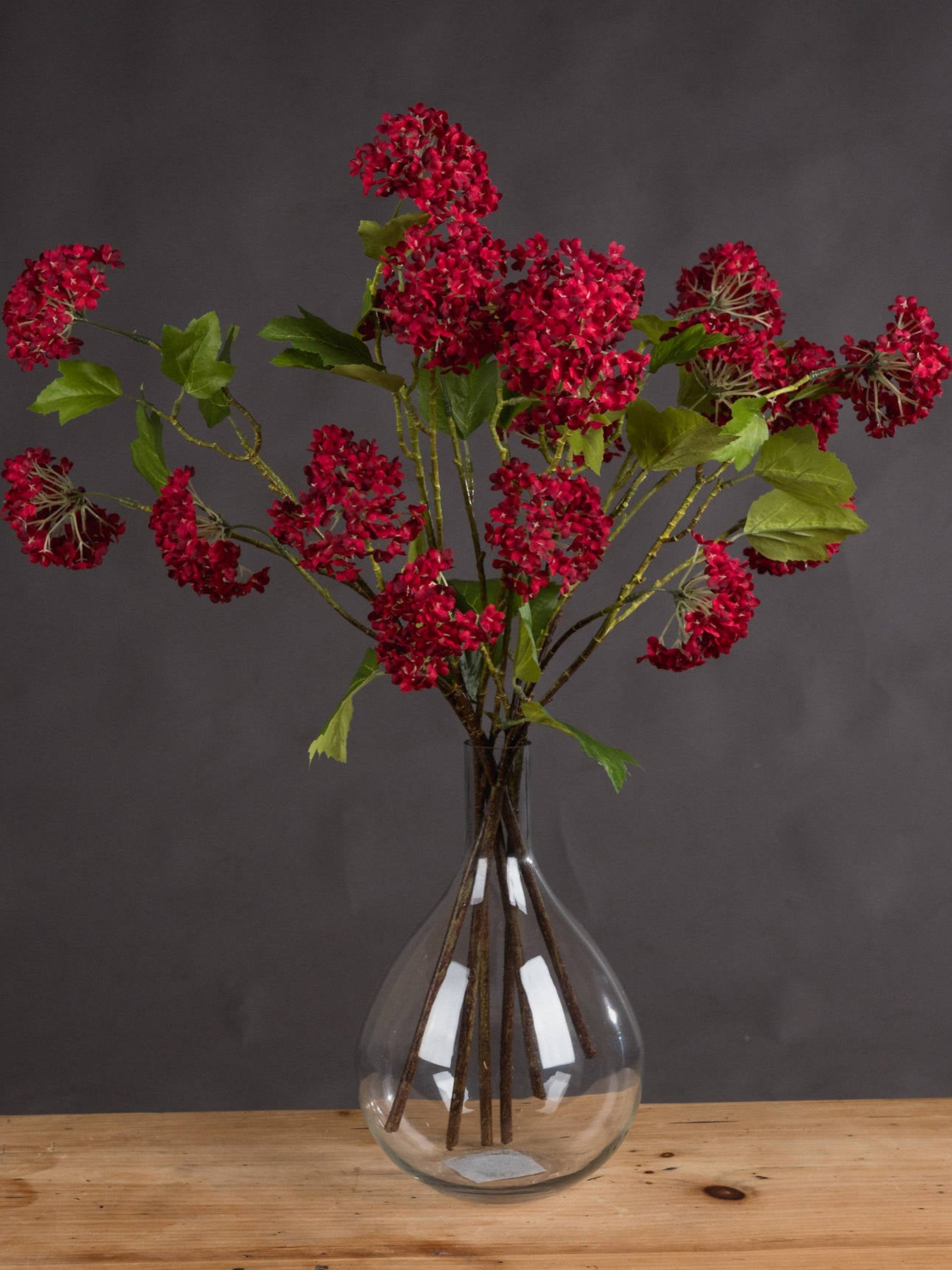 Red Autumnal Viburnum