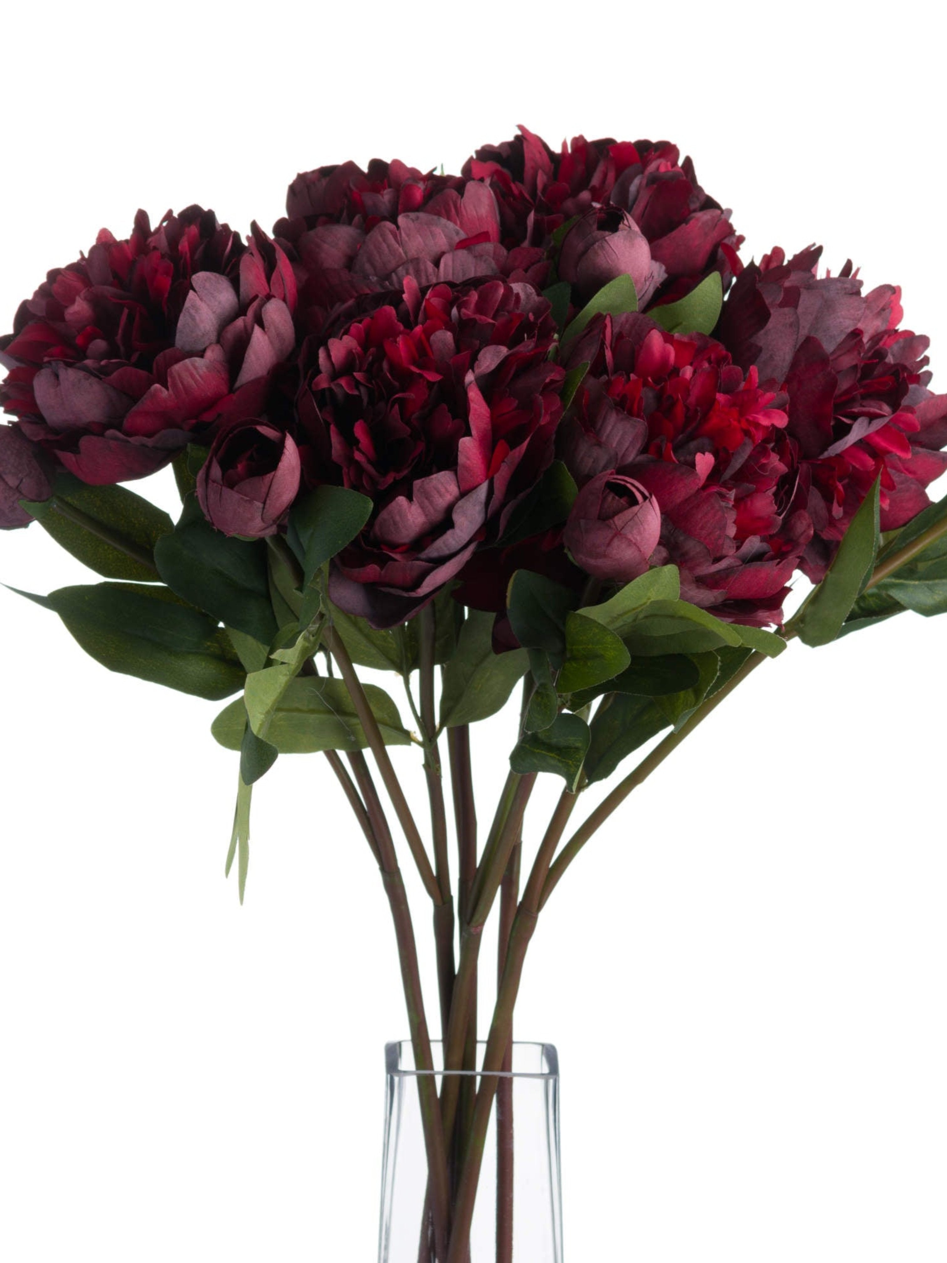 Burgundy Peony Rose