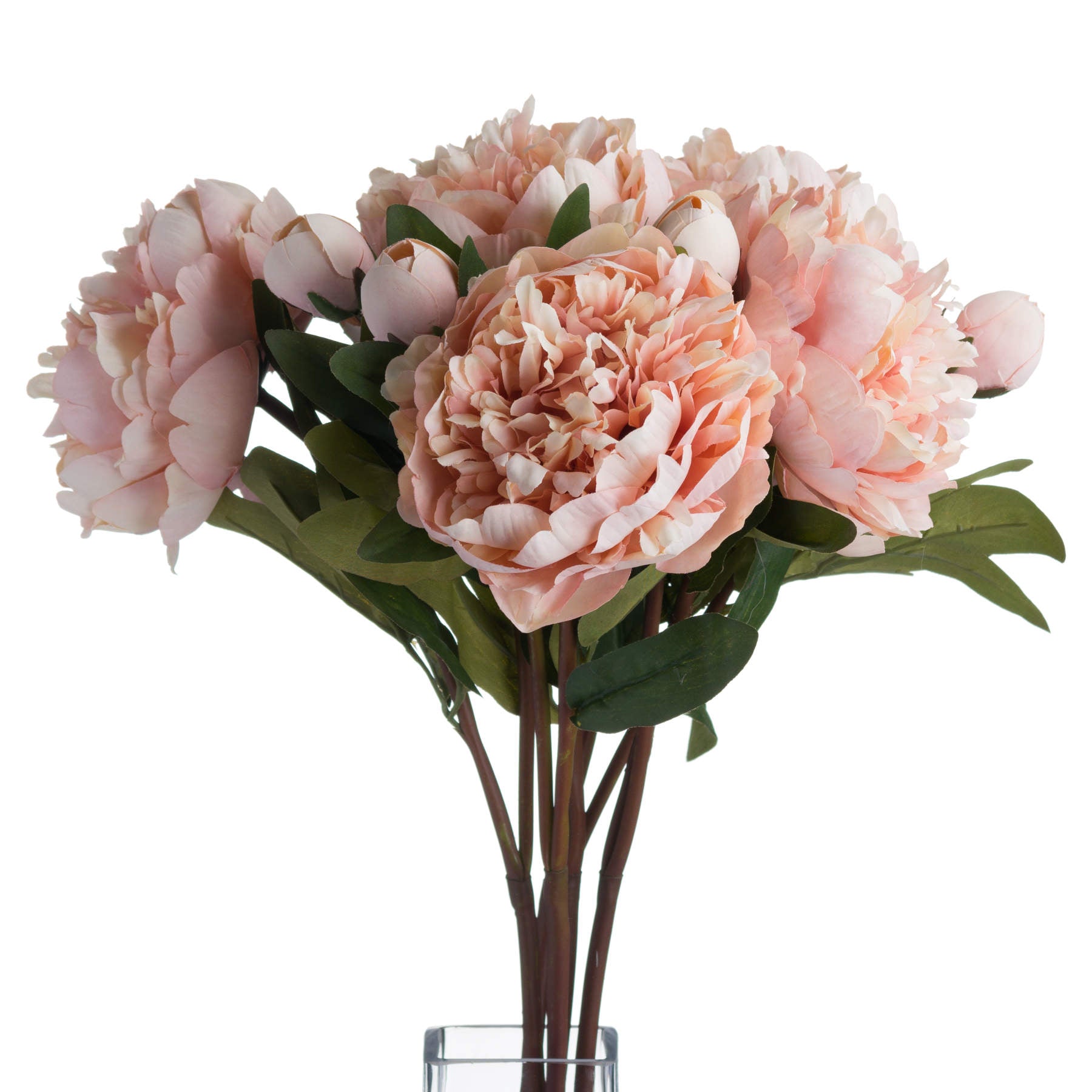 Peach Peony Rose