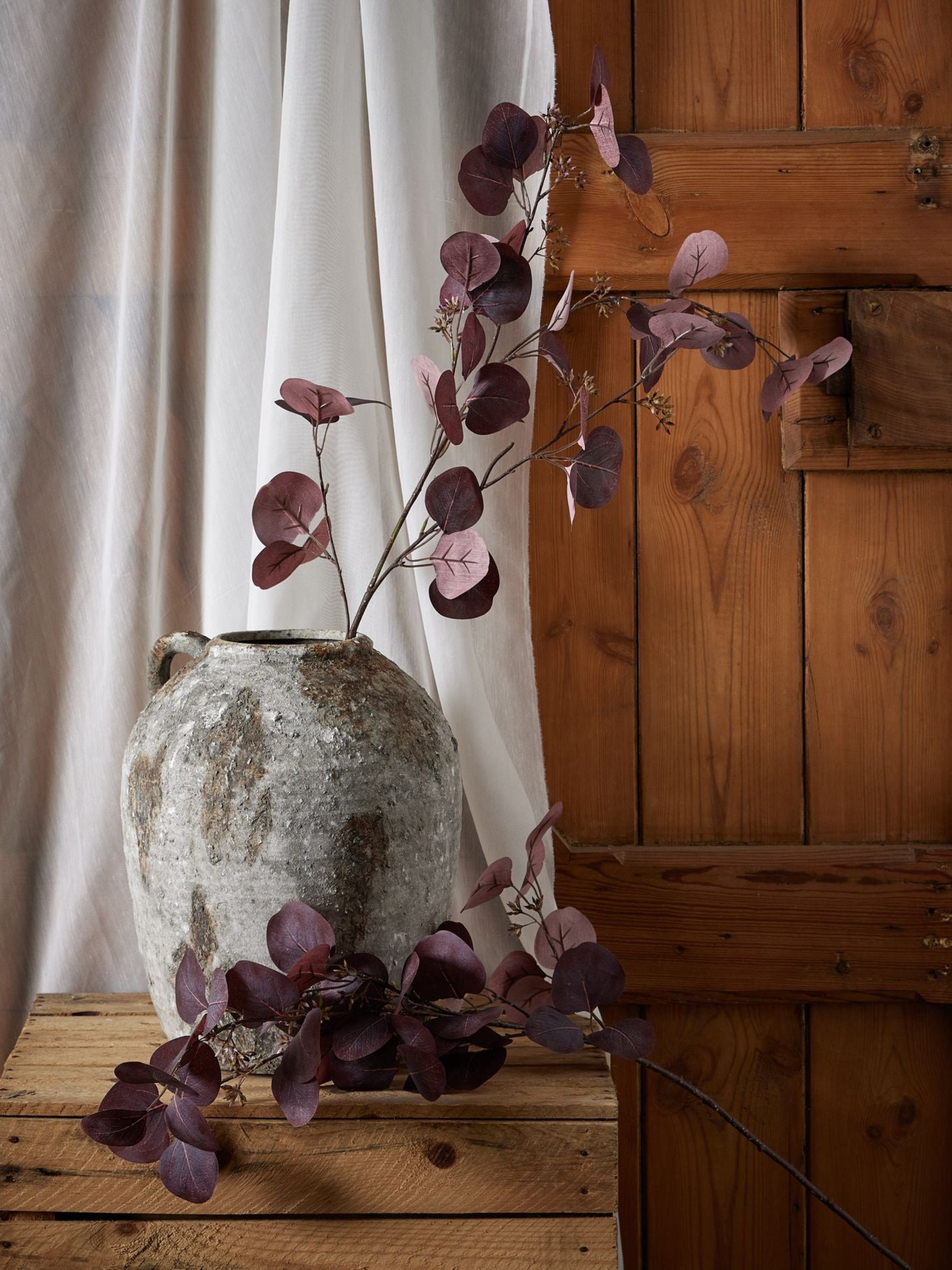 Burgundy Berried Eucalyptus