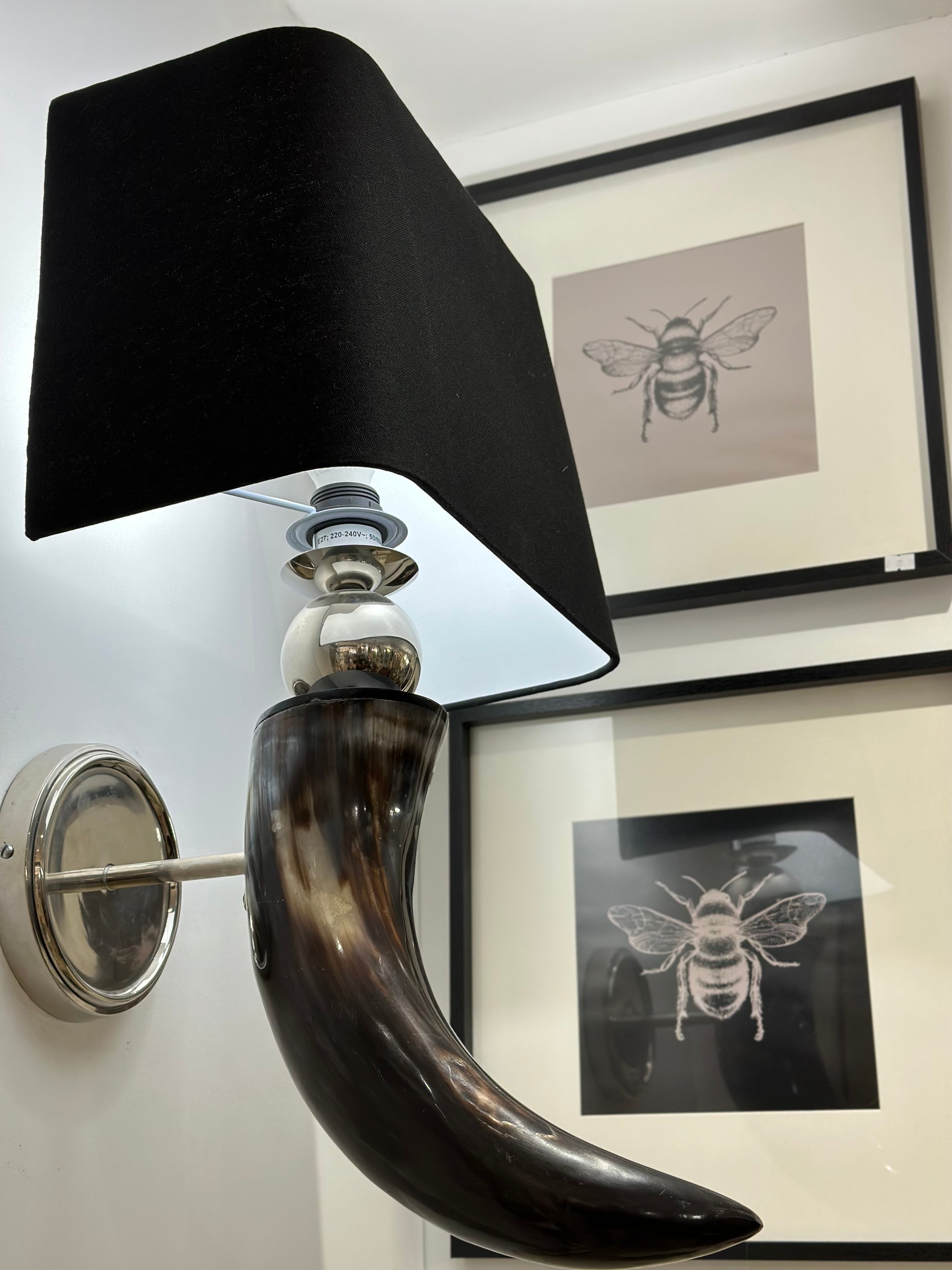 Black Horn Wall Light