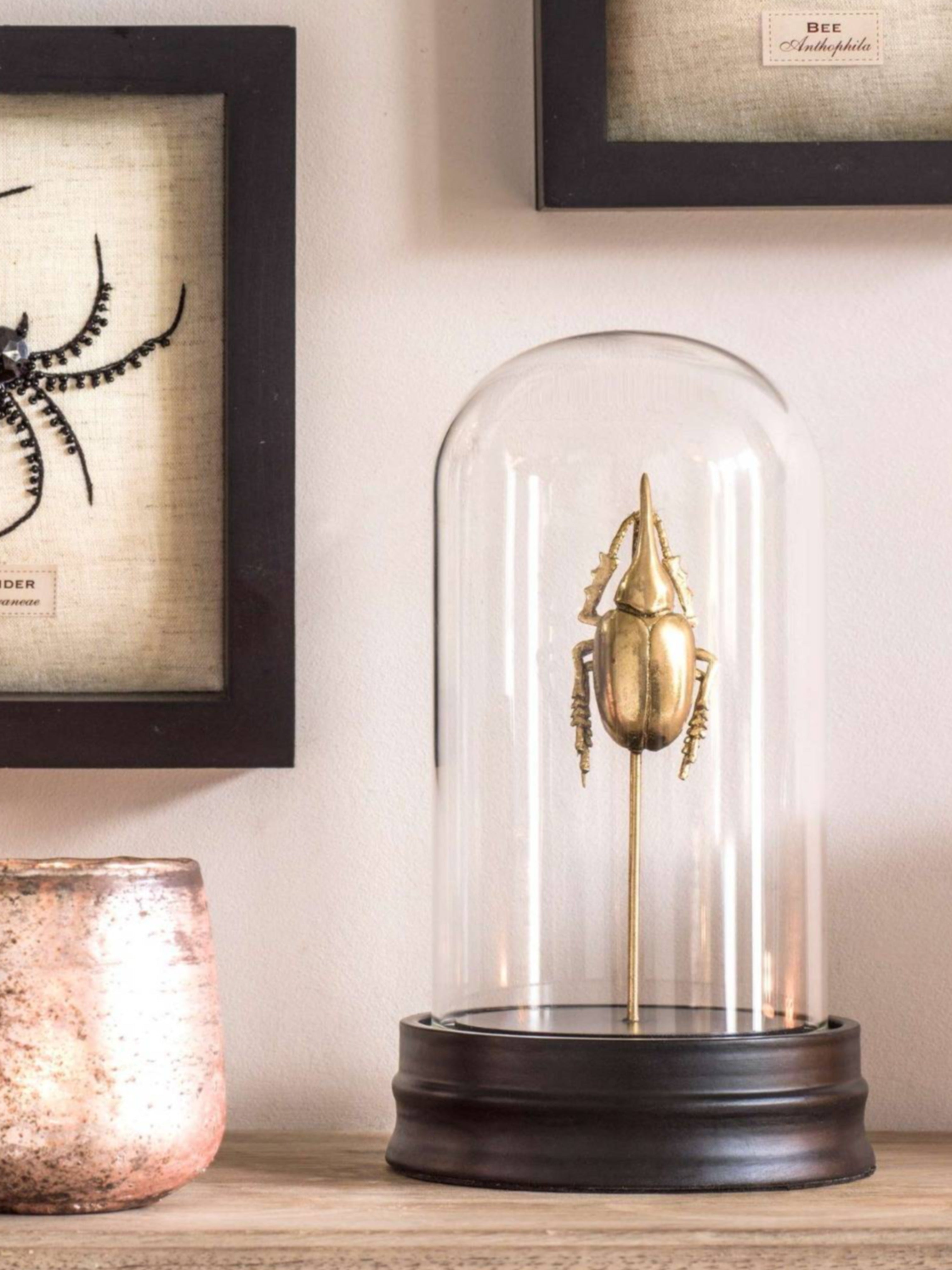 Golden Hercles Beetle Ornament